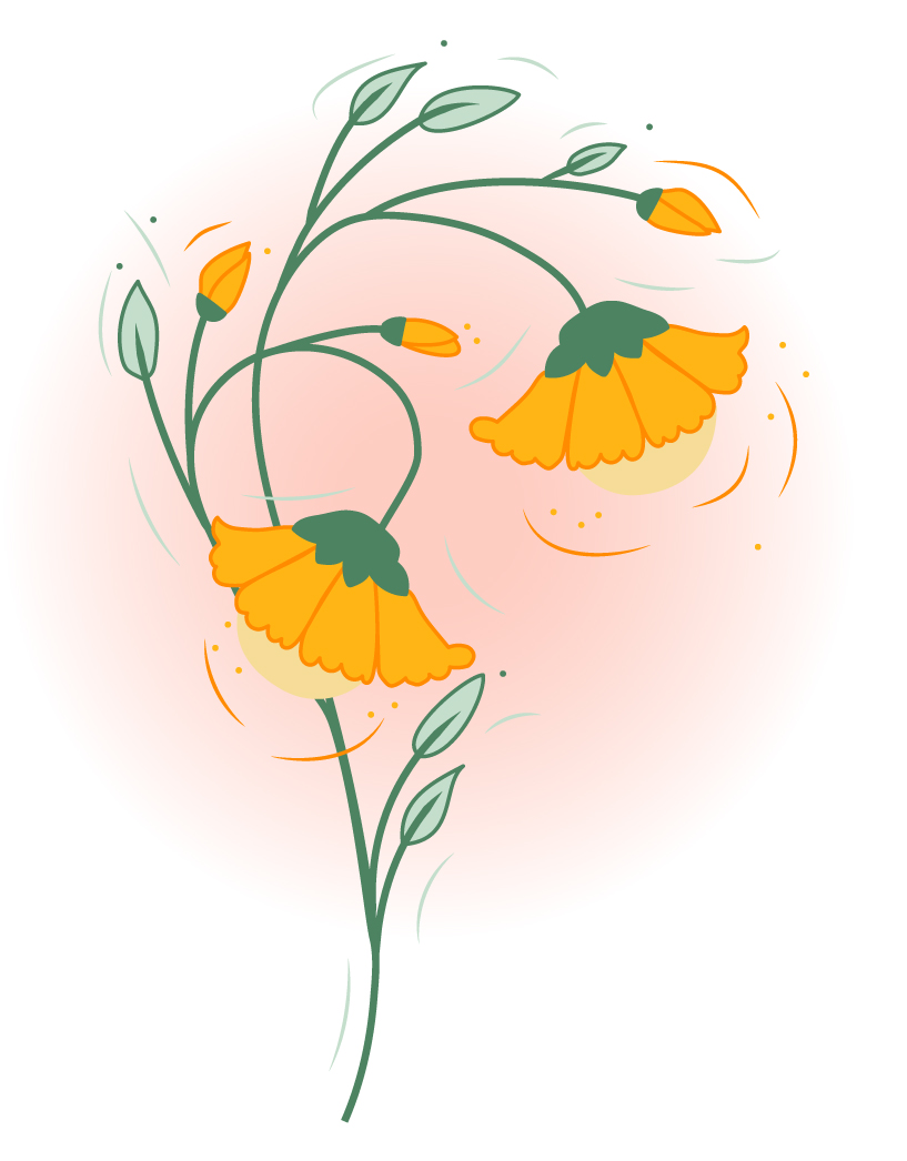 Orange Flowers of Summer Illustration