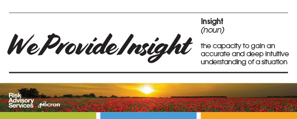 Insight Banner