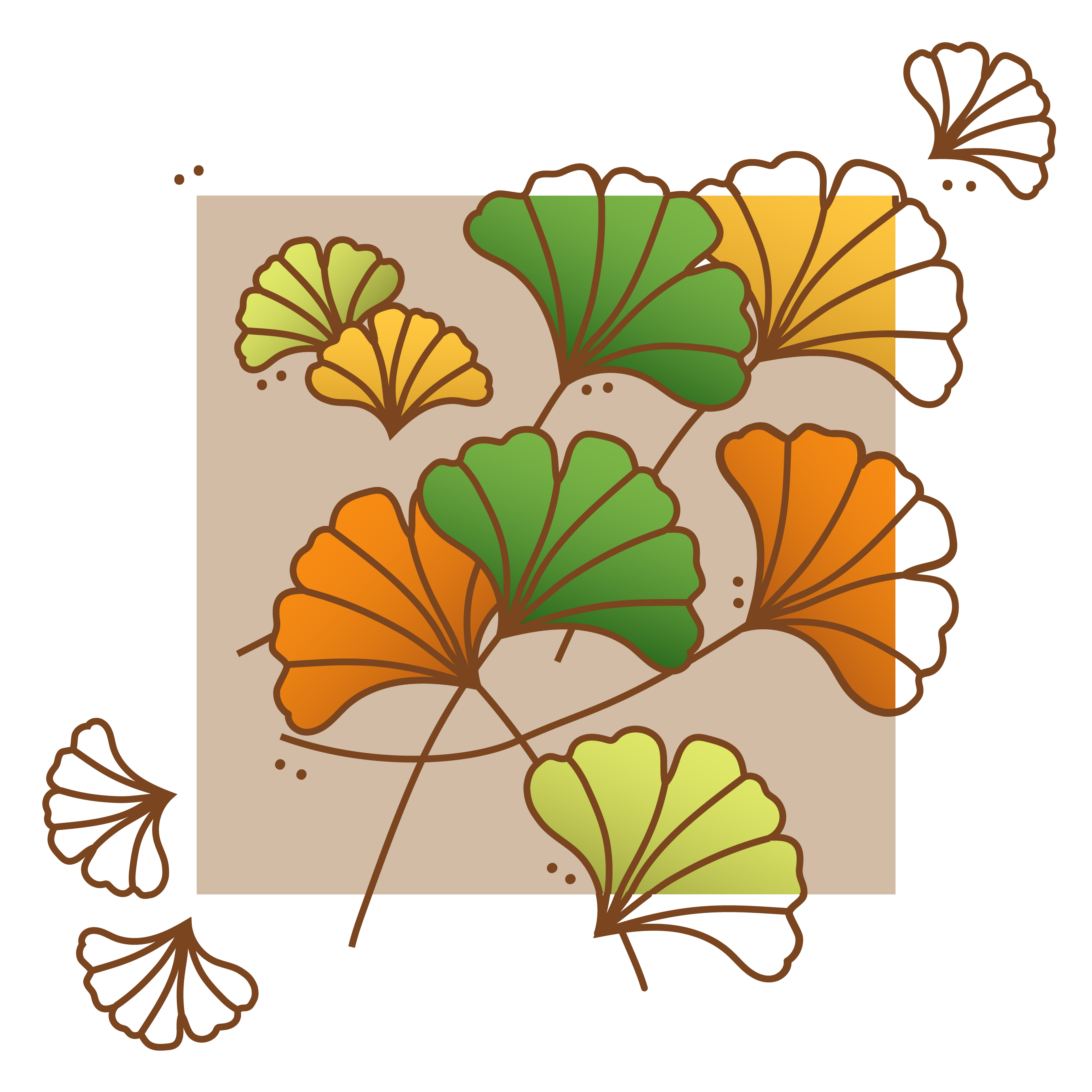 Ginko Leaves Illustration